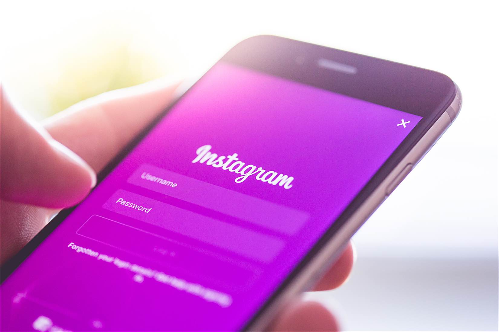 How To Share Pictures On Instagram From Desktop Picjumbo Blog