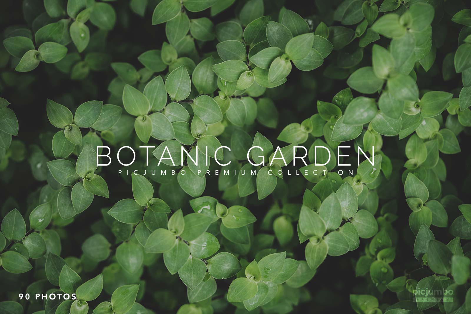 botanic-garden-premium-collection