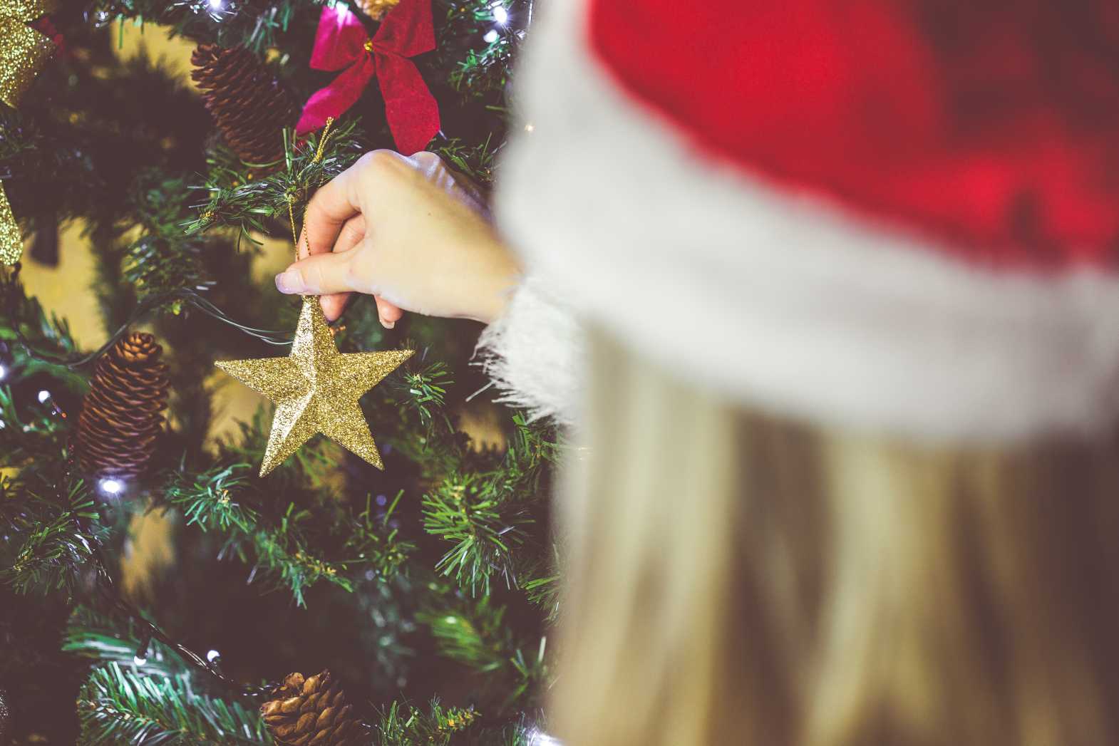 christmas star decorating christmas tree free image